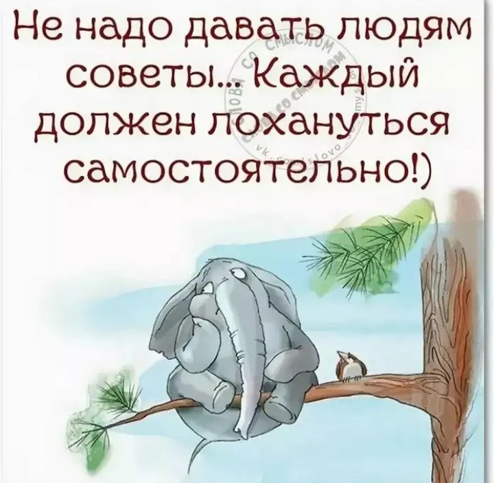 Не надо давать людям советы Каждый должен лохануться самостоятельно