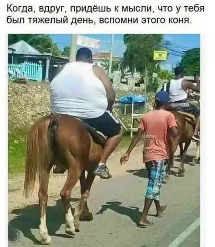 Когда вдруг придёшь к мысли что у тебя был тяжелый день вспомни этого коня