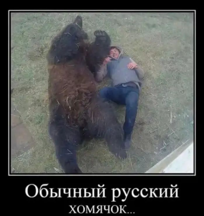 Обычный русский ХОМЯЧОК