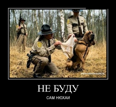 САМ НЮХАИ