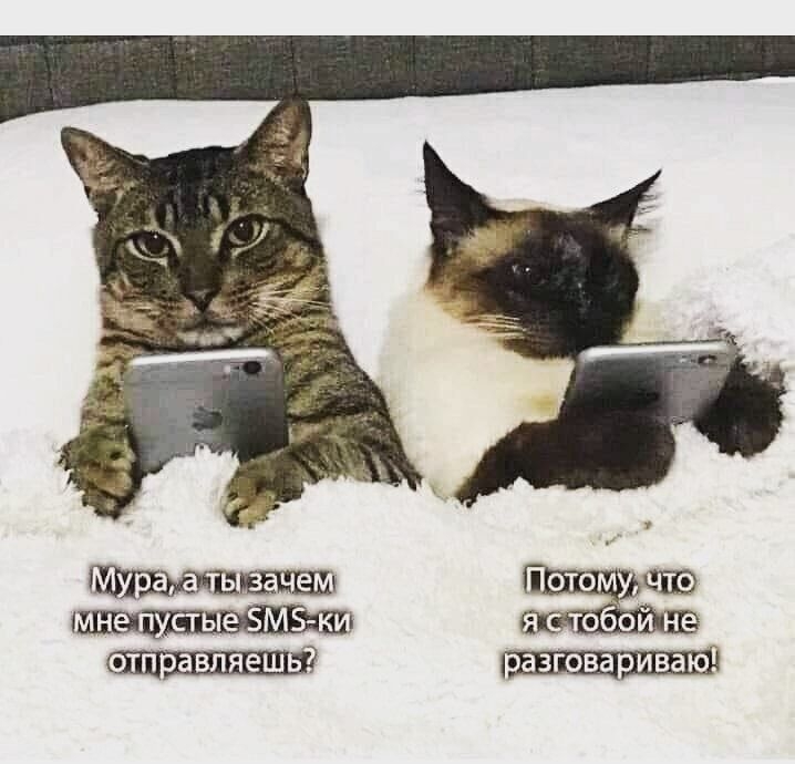 Муратады зачем, потомудчтой мнепустые о м5ки я стобой не