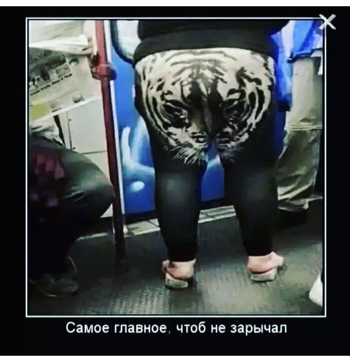 Самое главное чтоб не зарычал