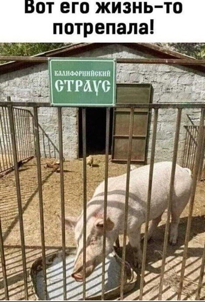 Т0 Ь на эл им же ор гт ео Т о