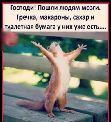 Господи Пошли людям мозги Гречка макароны сахар и шалетиая бумага у них уже есть