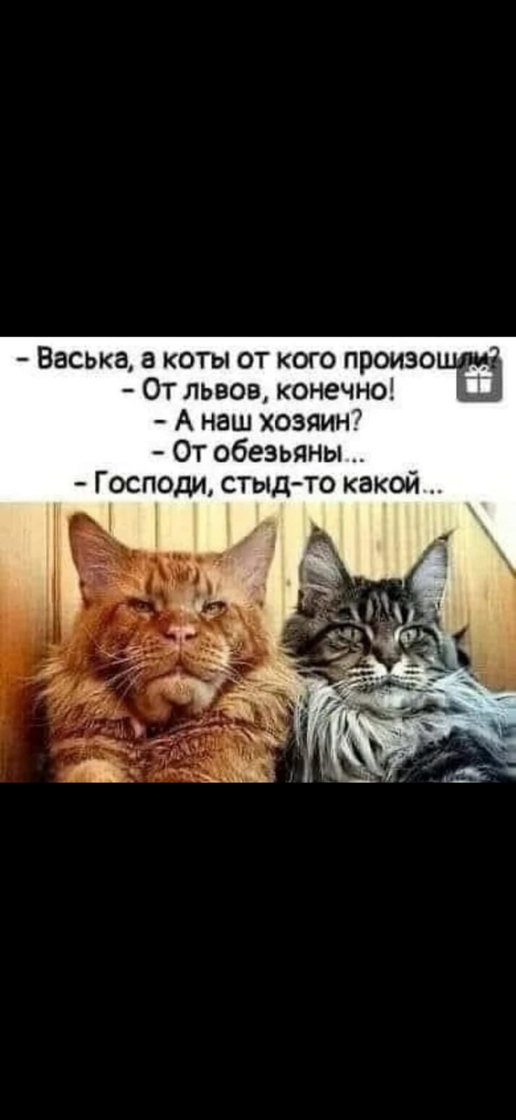 Васька а коты от кого произо От львов конечно А наш хозяин От обезьяны _ Господи стыдто какой