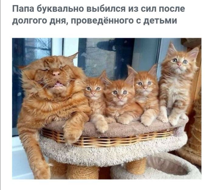 Папа буквально выбился из сил после долгого дня проведённого с детьми