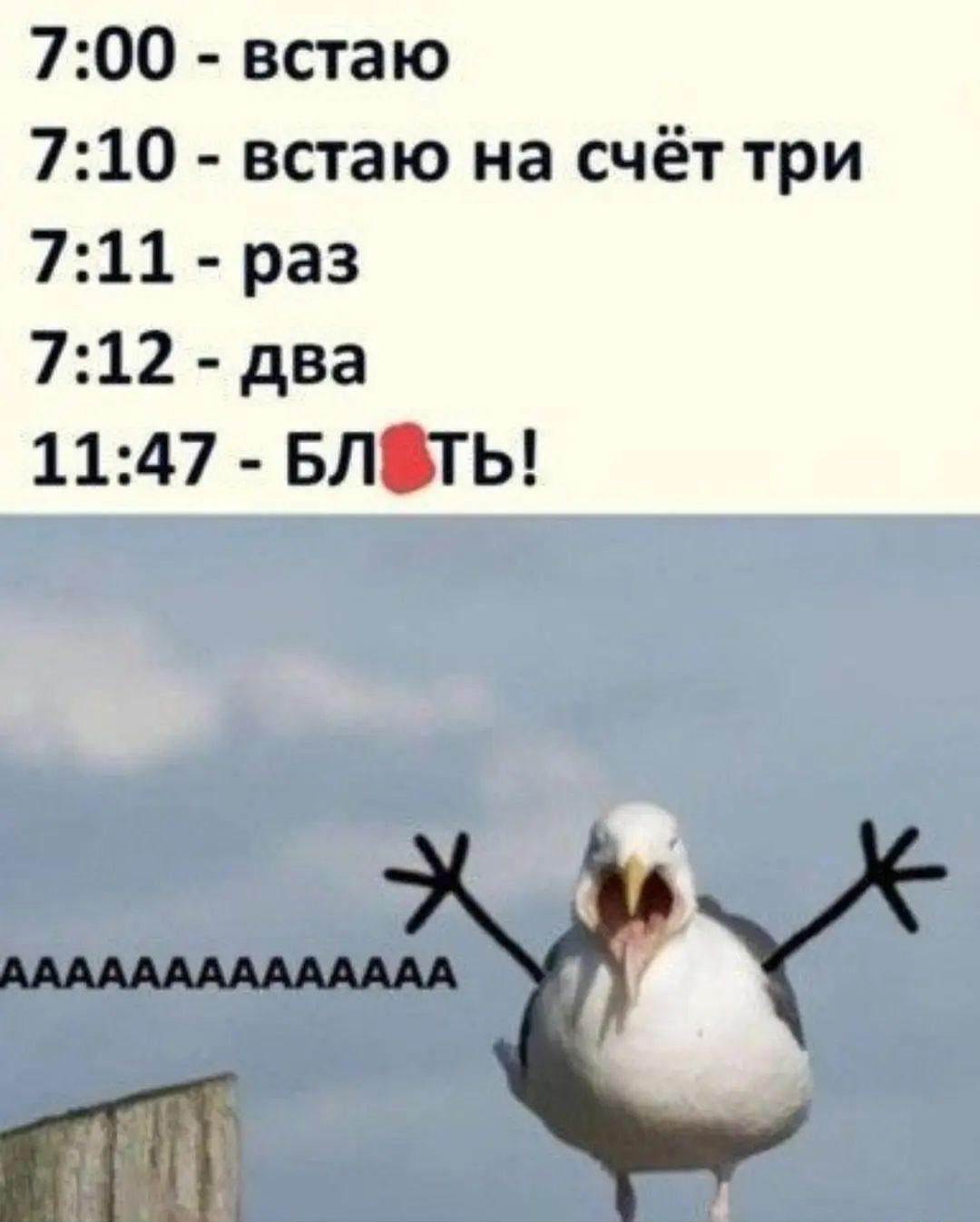 700 встаю 710 встаю на счёт три 711 раз 712 два 1147 БЛОТЬ