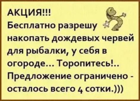 АКЦИЯ Бесплатно разрешу НЗКОПЗТЬ дождевых червей для рыбалки у себя в огороде Торопитесь Предложение ограничено осталось всего 1 сотки