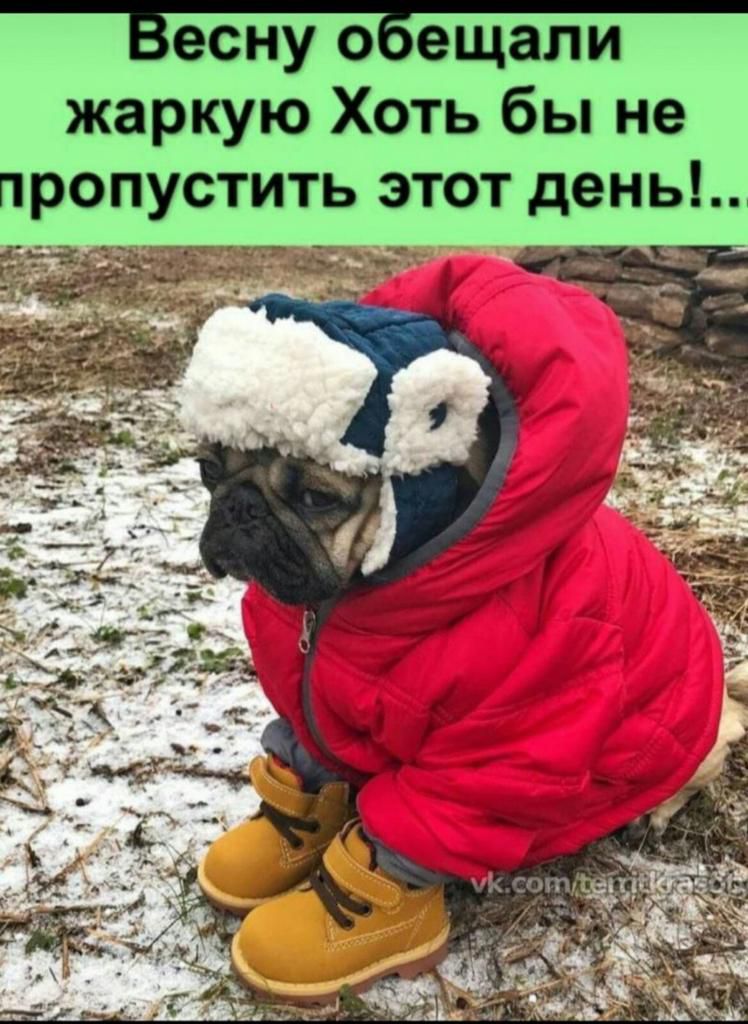 Весну оБещапи жаркую Хоть бы не пропустить этот день