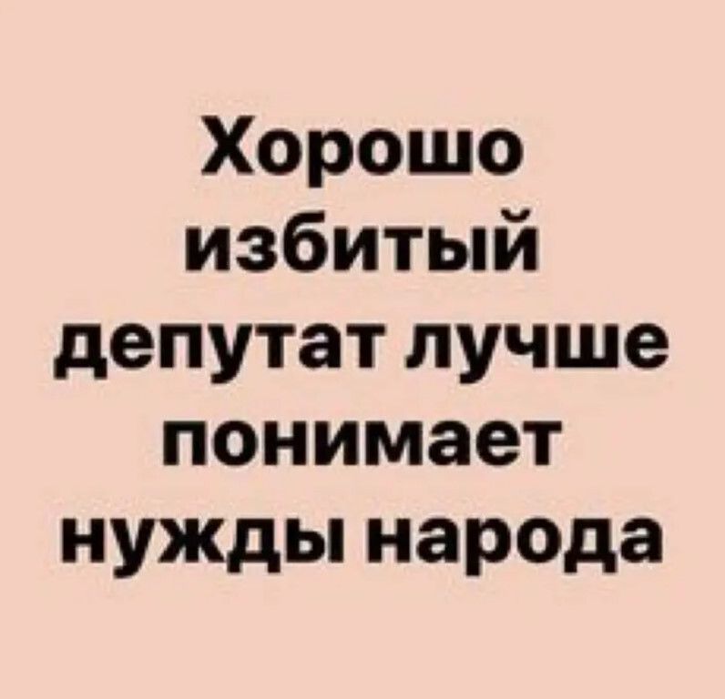 Хорошо избитый депутат лучше понимает нужды народа