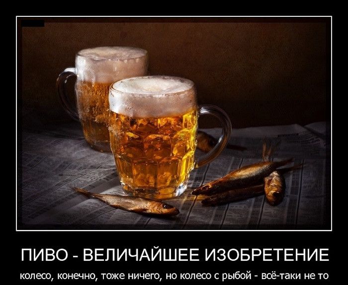 ПИВО ВЕПИЧАЙШЕЕ ИЗОБРЕТЕНИЕ канеш клизме уже ничего о шлет рыбой всёуаки егп