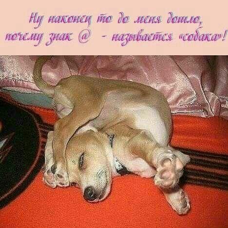 щ имтщ пт Ёп на Этии ЁП