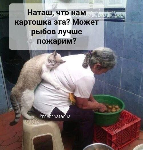 Наташ что нам картошка ата Может рыбов лучше пожарим