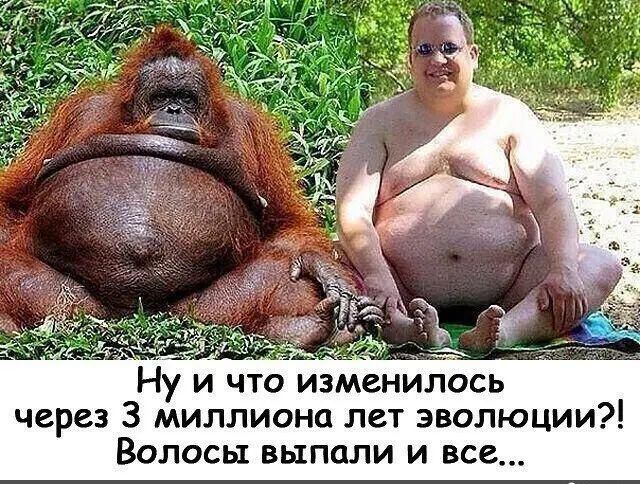 Ну И ЧТО измёнилось через 3 миллиона лет эволюции Волосы выпали и все