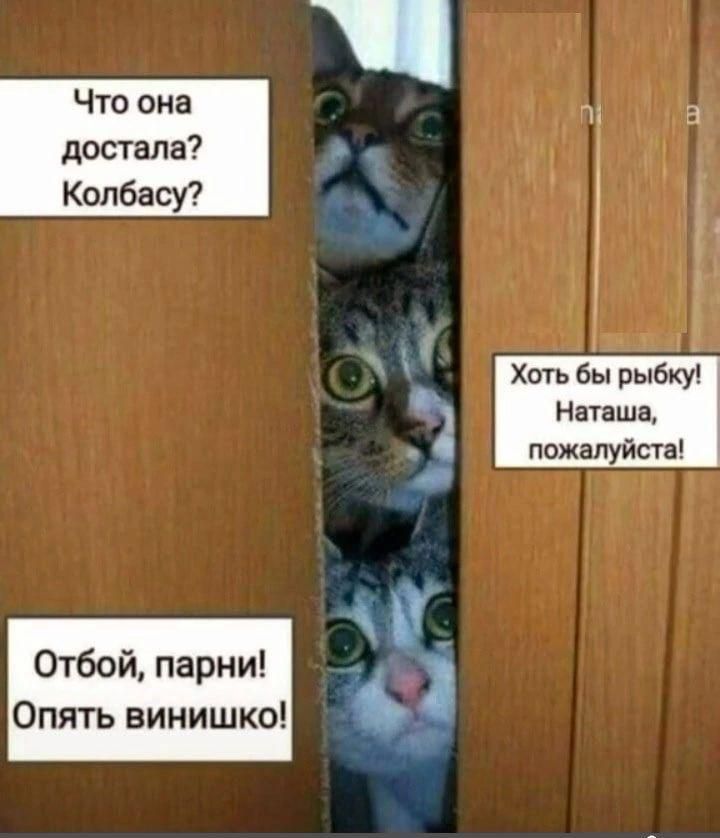 Ожбой парни Опять винишко