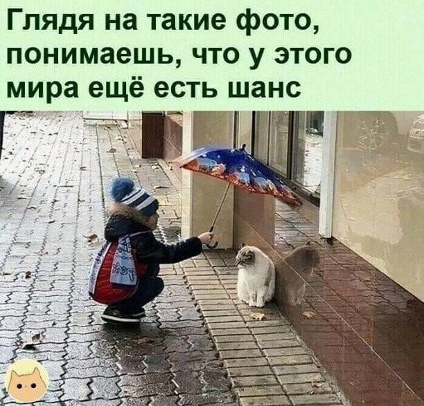 Глядя на такие фото понимаешь что у этого мира ещё есть шанс