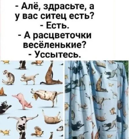 Алё здрасьте а у вас ситец есть Есть А расцветочки весёленькие