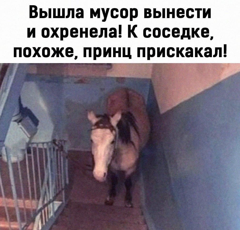 Вышла мусор вынести и охренела К соседке похоже принц прискакал