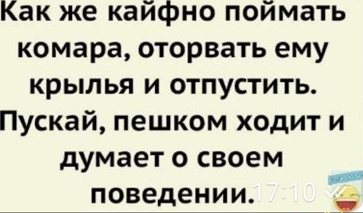 Как же кайфно поймать комара оторвать ему крылья и отпустить Пускай пешком ходит и думает о своем поведении