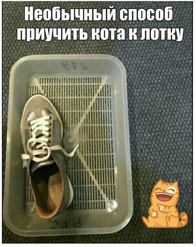 Необычный способ ППЩЧИТЬ нота и ПО