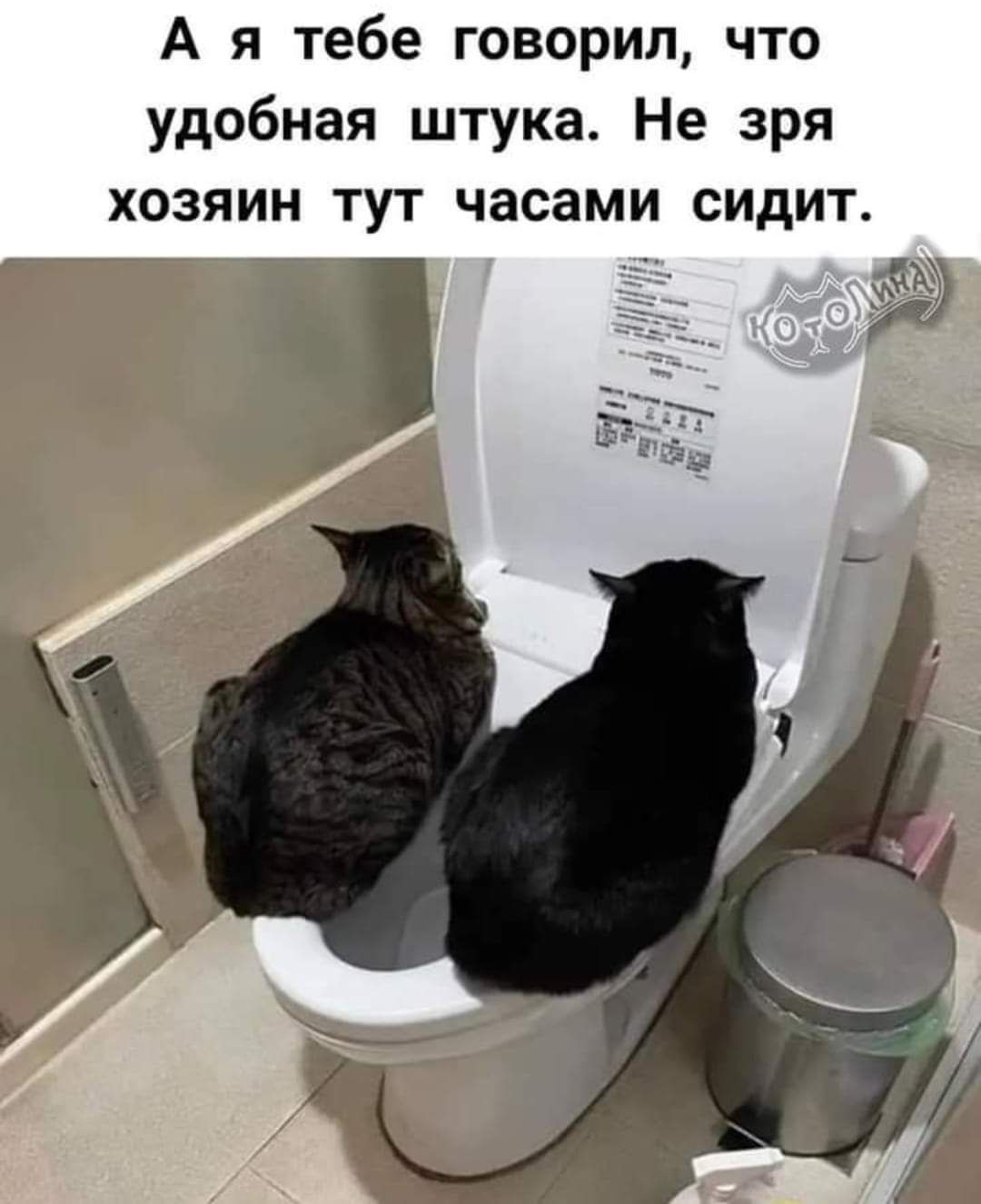 А я тебе говорил что удобная штука Не зря хозяин тут часами сидит 3