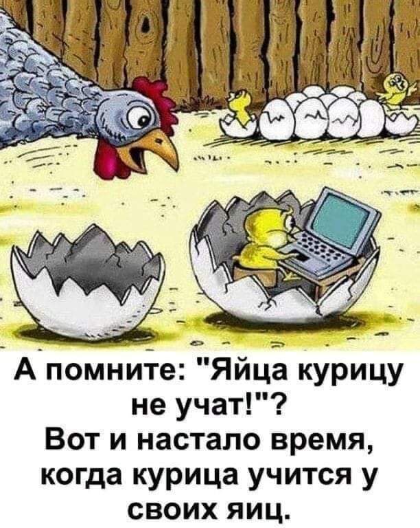 А помните Яйца курицу не учат Вот и настало время когда курица учится у своих яиц