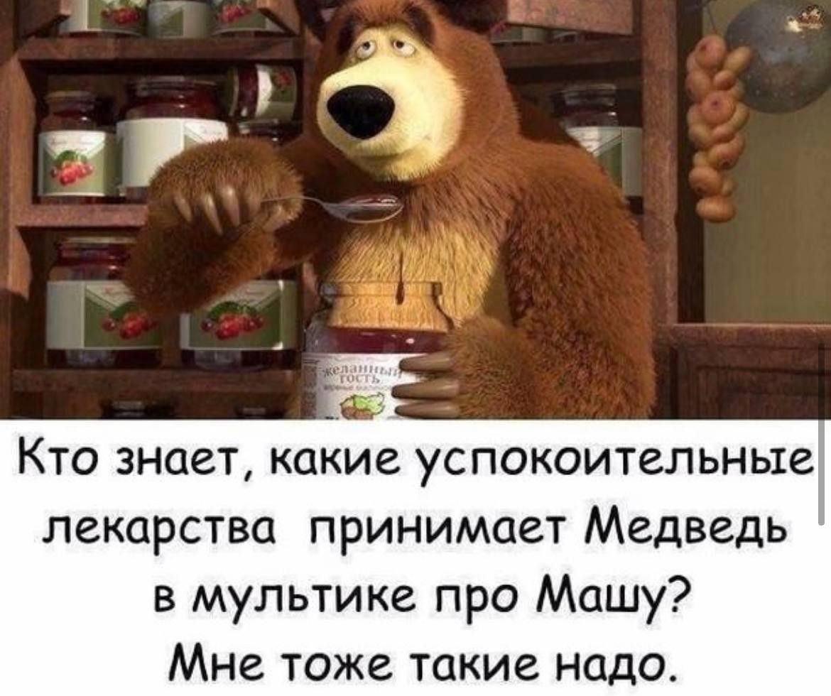 Кто знает какие успокоительные лекарства принимает Медведь в мультике про Машу Мне тоже такие надо