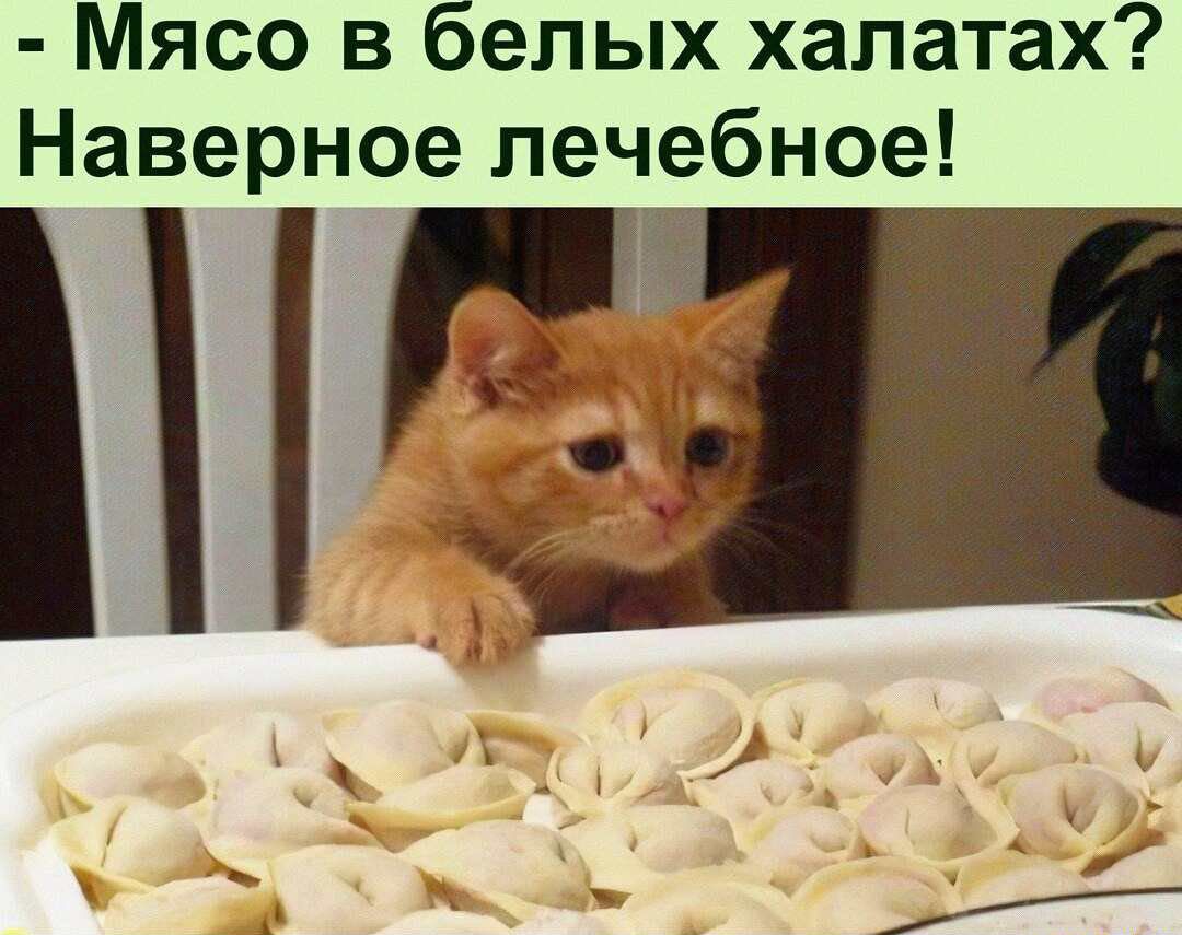 Мясо в белых халатах Наверное лечебное