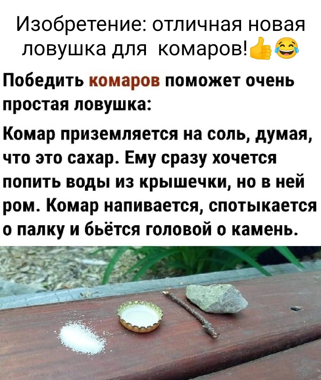 Изобретение отличная новая ловушка для КОМВРОВ _ ПОбЕдИТЬ комаров ПОМОЖЕТ ОЧЕНЬ ПРОСТВЯ ЛВВУШКЗ Комар приземляется на сопь думая что это сахар Ему сразу хочется попить воды из крышечки но в ней ром Комар напивается спотыкается о папку и бьётся головой о камень