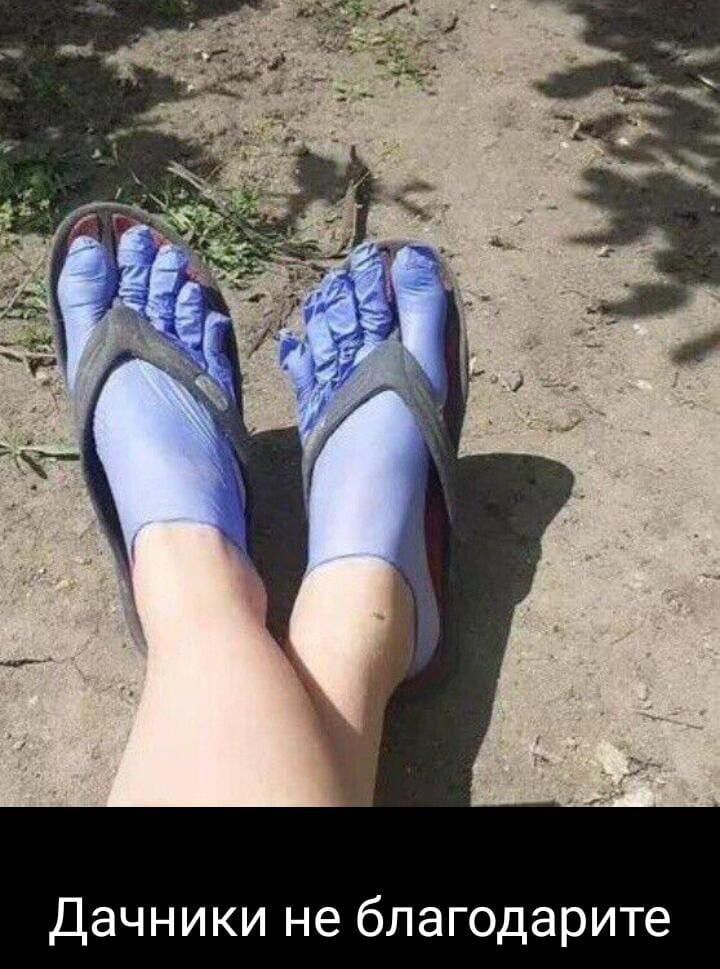 Дачники не благодарите