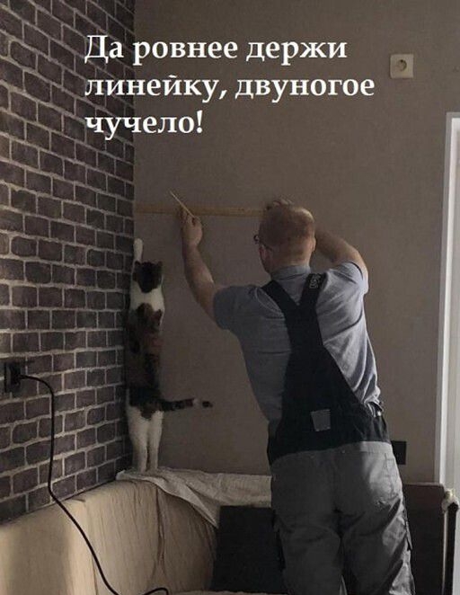 Да ровнее держи ълинеику двуногое _ чучело