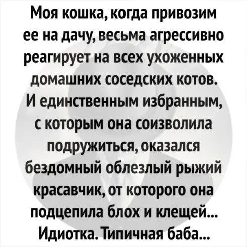 Моя кошка когда привозим ее на дачу весьма агрессивно реагирует на всех ухоженных домашних соседских котов И единственным избранным которым она соизволила подружиться оказался бездомный облезлый рыжий красавчик от которою она подцепила блох и клещей ИдиоткаТипичная баба