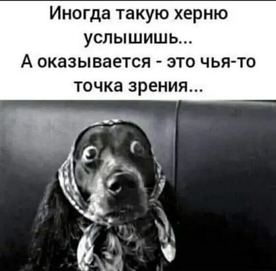 Иногда такую херню услышишь А оказывается это чьято Точка зрения