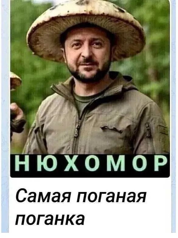 НЮХОМОР
Самая поганая поганка