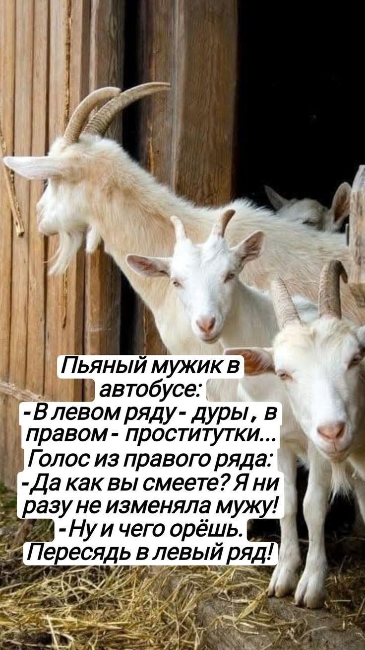 Пьяный мужик в автобусе:
- В левом ряду - дуры, в правом - проститутки...
Голос из правого ряда:
- Да как вы смеете? Я ни разу не изменяла мужу!
- Ну и чего орёшь. Пересаживайся в левый ряд!
