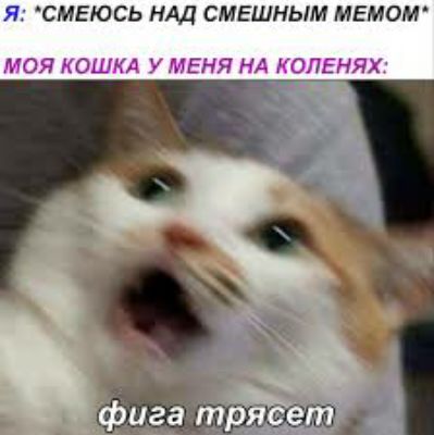 Я СМЕЮСЬ НАД СМЕШНЫМ МЕМОМ до при ня