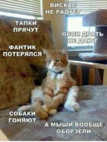 ТАНКИ ПРЯЧУТ одитик потерялсяъ совдки А Амышй о ЕЩЁ ГОИ Я Ю