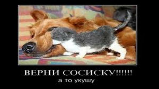 а то укушу