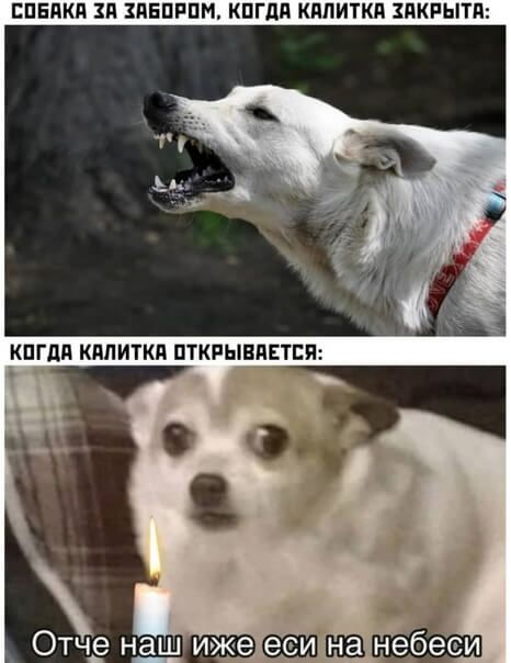 ЕПЕПКП ЗП ЗИЕПРПМ КПГдП КдПИТКП ПКРЫТП КПГдд КМИТКП ПТКРЫВПЕТЕЯ