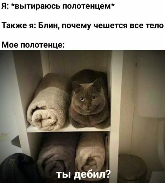 Я вытираюсь полотенцем Также Я БЛИН ПОЧЕМУ чешется все тело Мое полотенце ты дебил