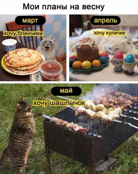 МОИ планы на весну _ апрель