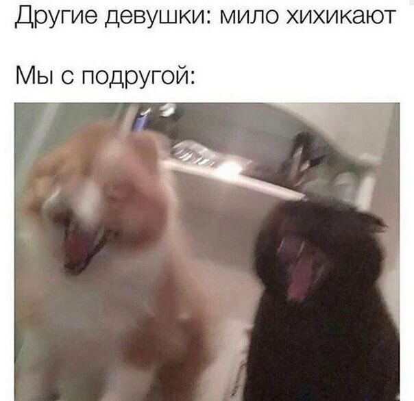 Другие девушки мило хихикают Мы с подругой