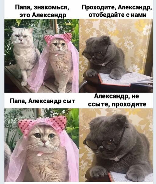 Папа, знакомься, проходите, александр, это александр отобедайте с нами александр, не ссыте, проходите
