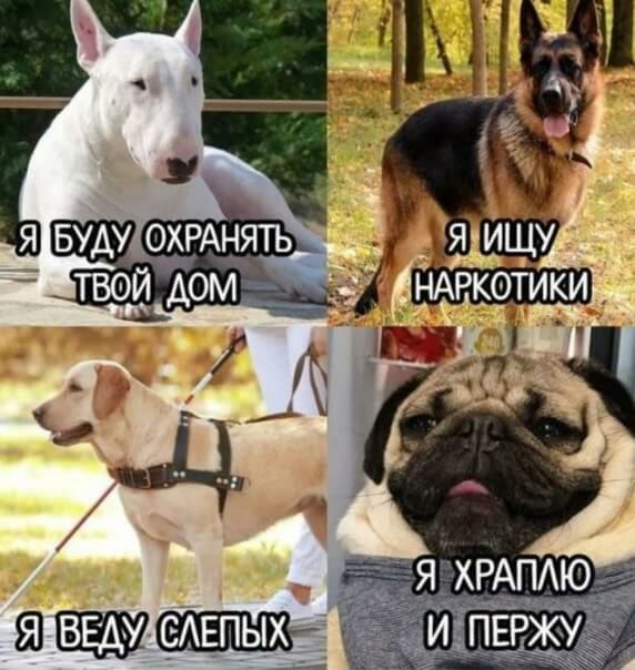 Г :  щл е