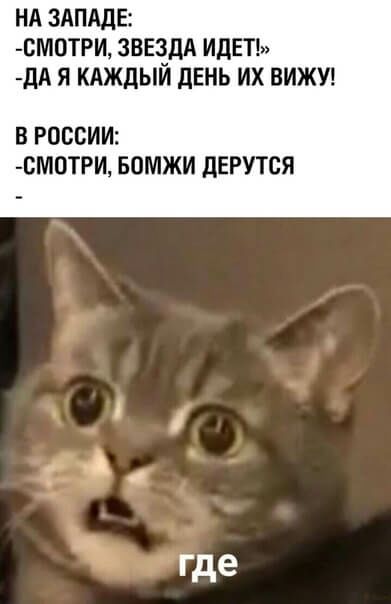 На западе: смотри, звезда идет» дая каждый день их вижу! В россии: смотри, бомжи дерутся тде