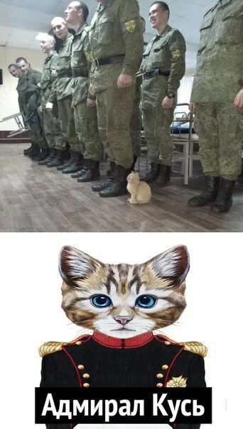 Адйирал КЭсь