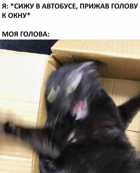 Я СИЖУ В АВТОБУСЕ ПРИЖАВ ГОЛОВУ К ОКНУ МОЯ ГОЛОВА