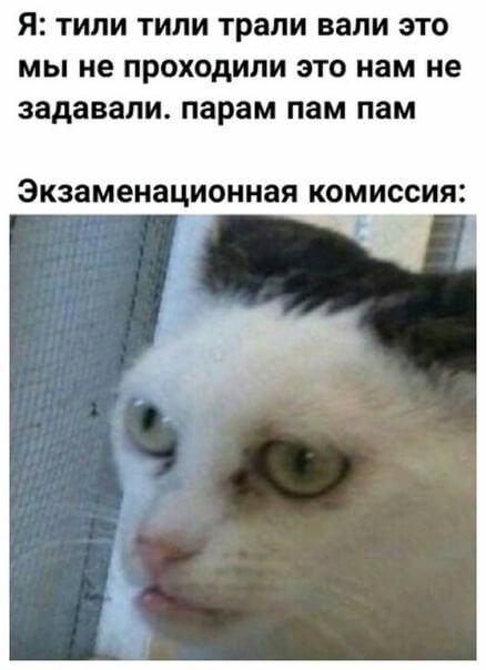 Я ТИЛИ ТИЛИ трапи вали ЭТО МЫ не ПРОХОДИЛИ ЭТО нам не задавали парам пам ПЭМ Экзаменационная КОМИССИЯ