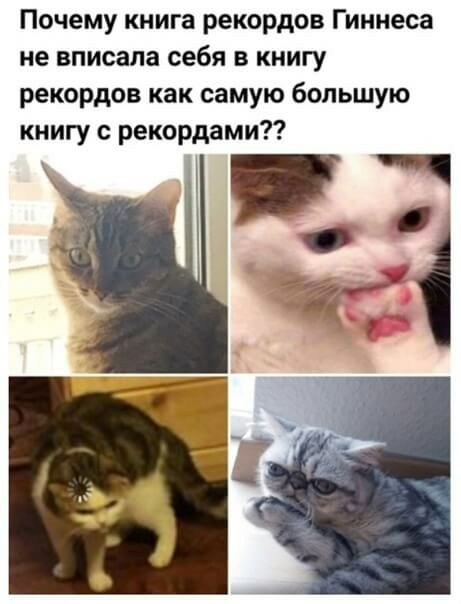 Почему книга рекордов Гиннеса не вписана себя в книгу рекордов как самую большую книгу с рекордами