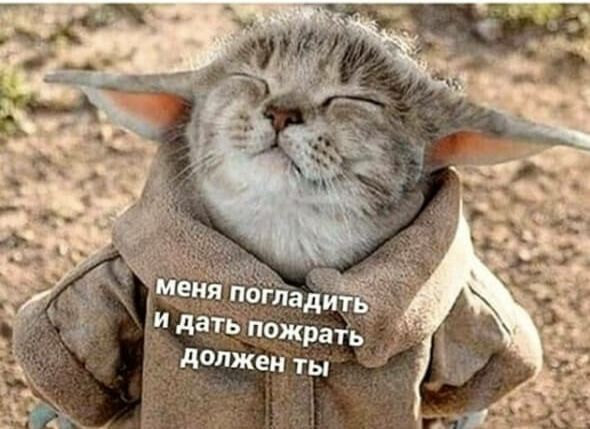 р и  5 х о5 е  рез се оо
р и  5 х о5 е  рез се оо